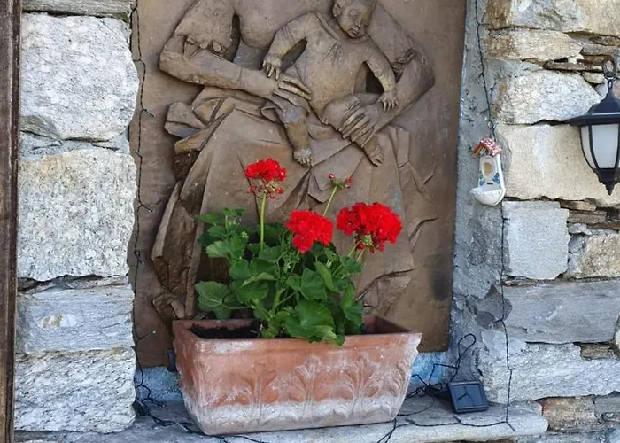 Hébergement de vacances La Ca Dal Rino - Panoramica Ecosostenibile Ornavasso